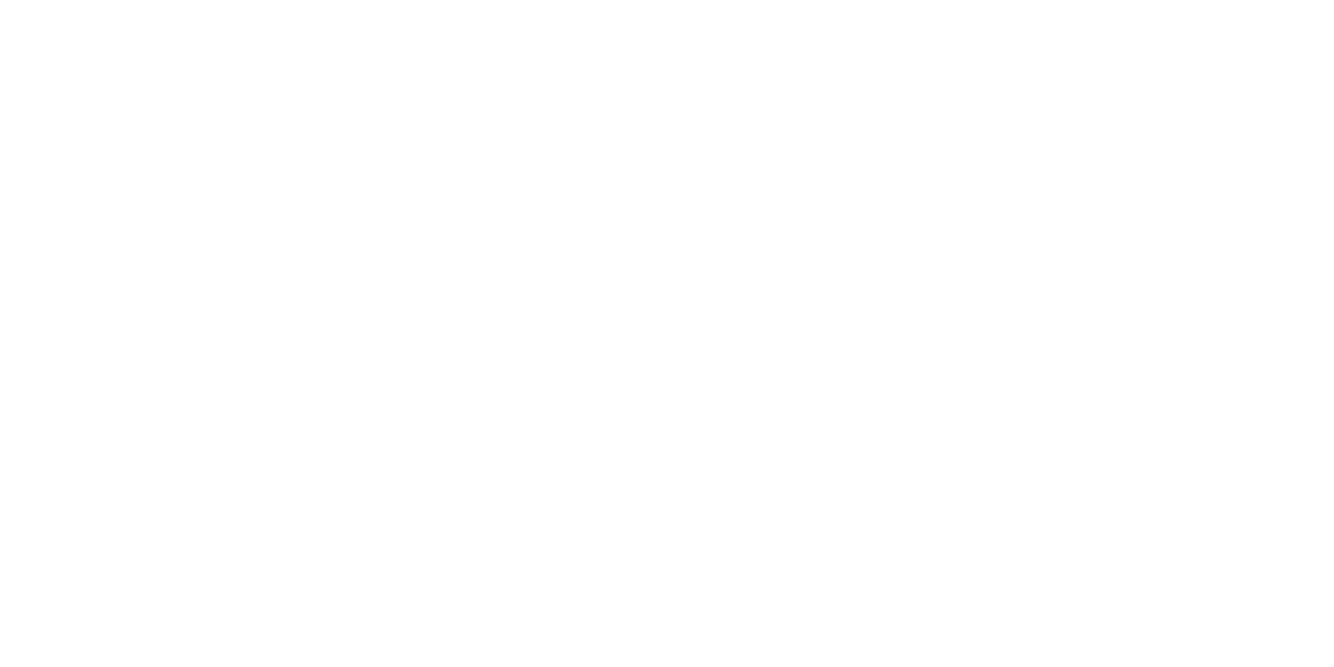 Celimax logo